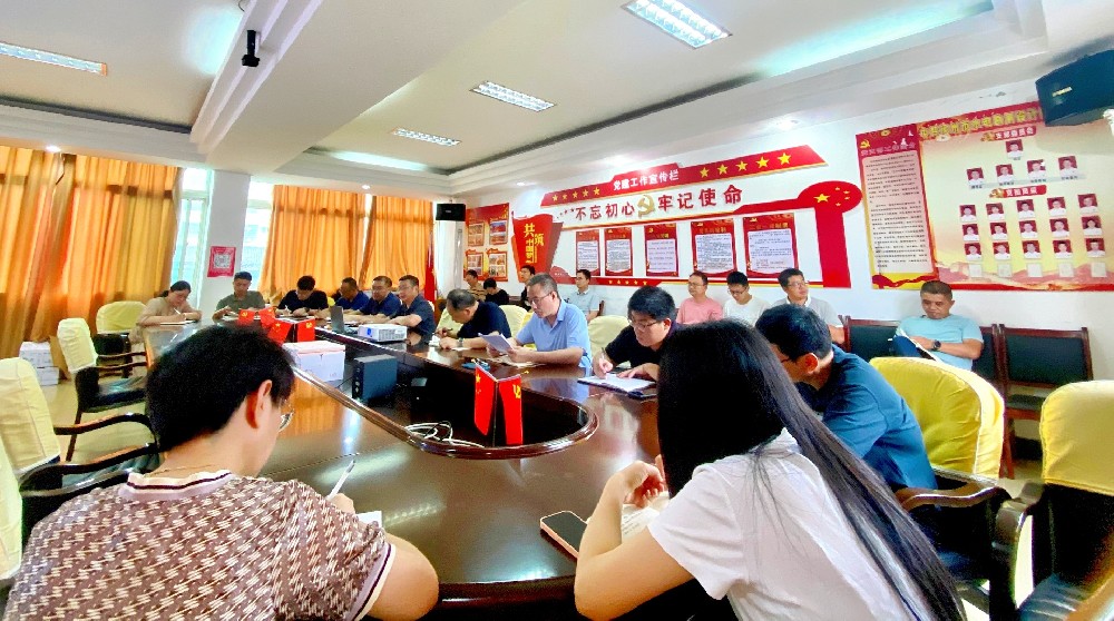 以作风之笔绘就兴水画卷：市水电勘测设计院党支部开展专题党课学习